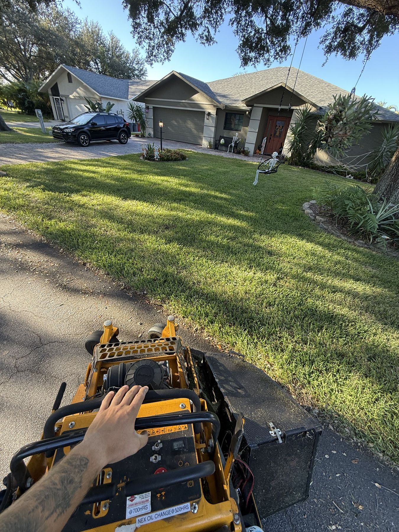 Fresh cut, clean lines