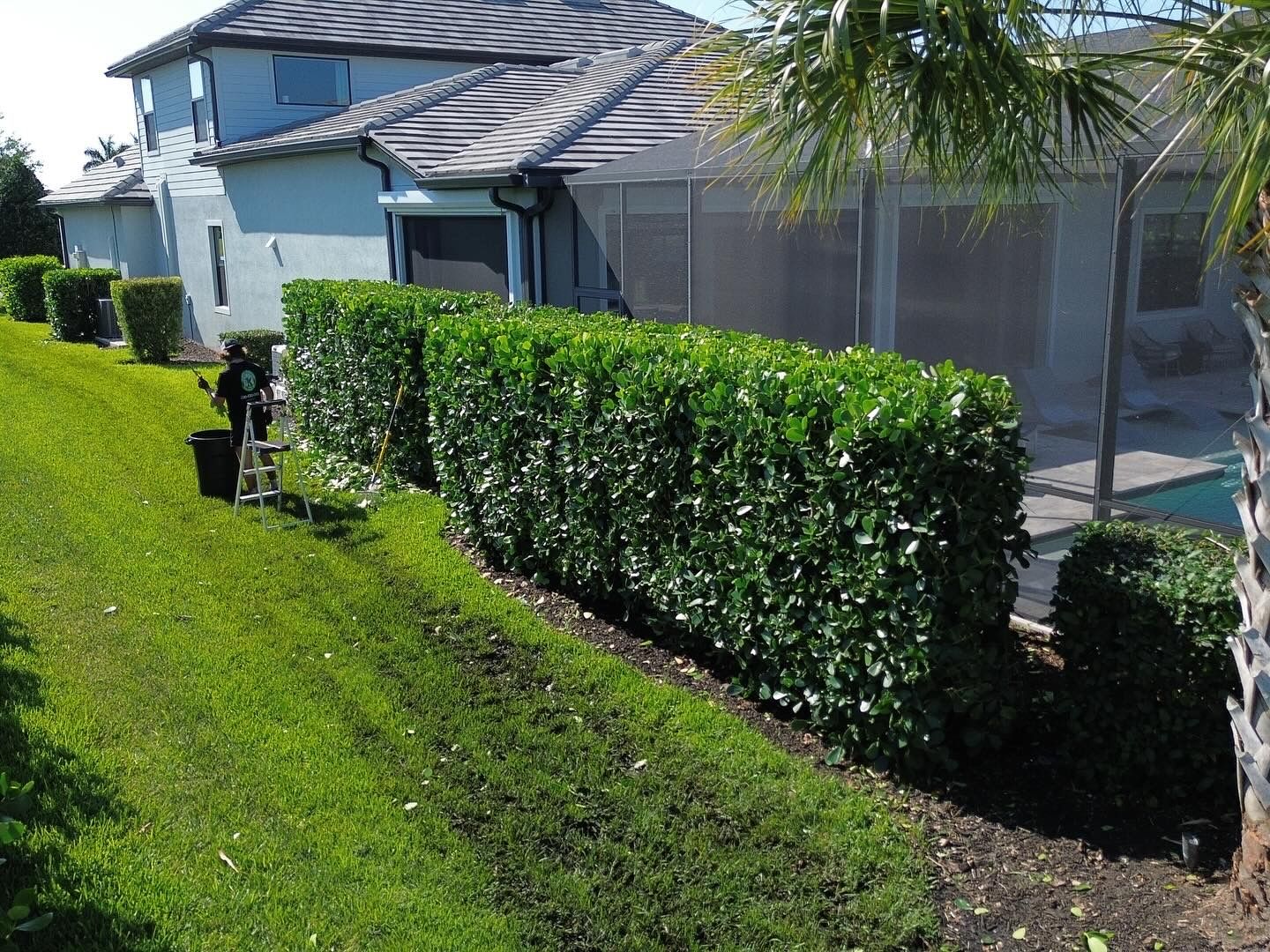 Hedge shaping