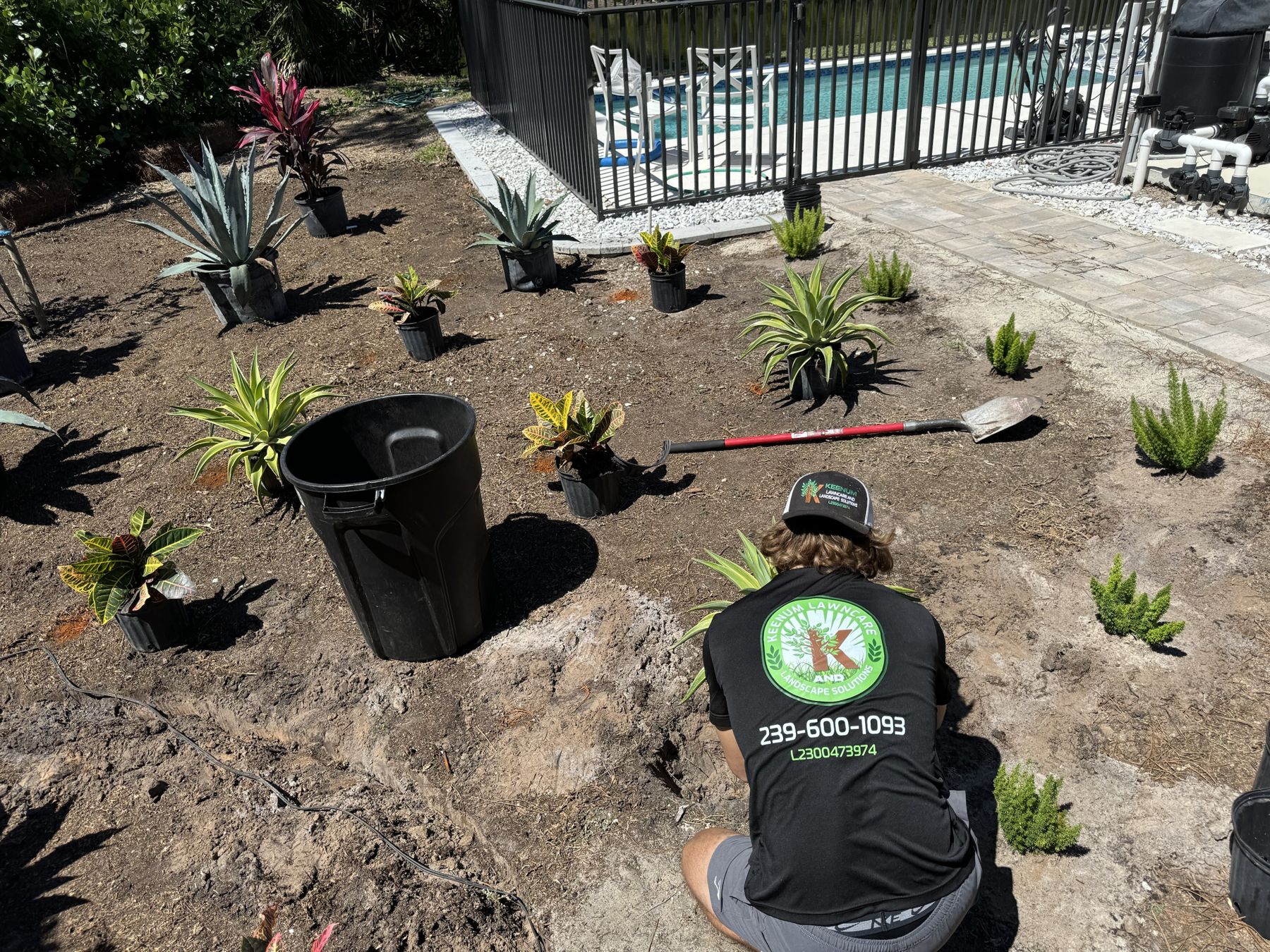 Agave bed going in