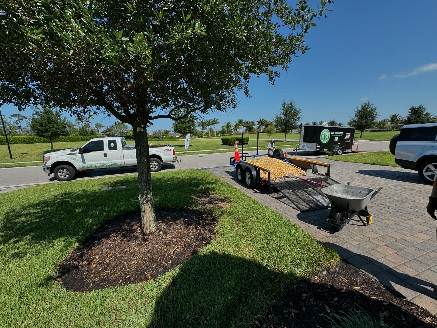 Mulch ring and edging