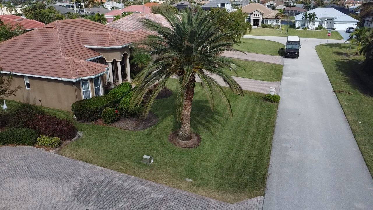 Palms and manicured lawn
