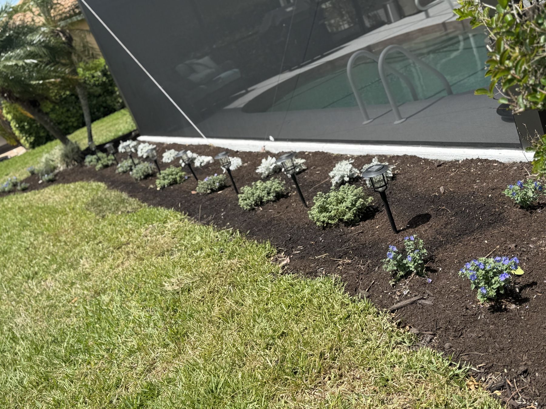 Solar-lit flower bed